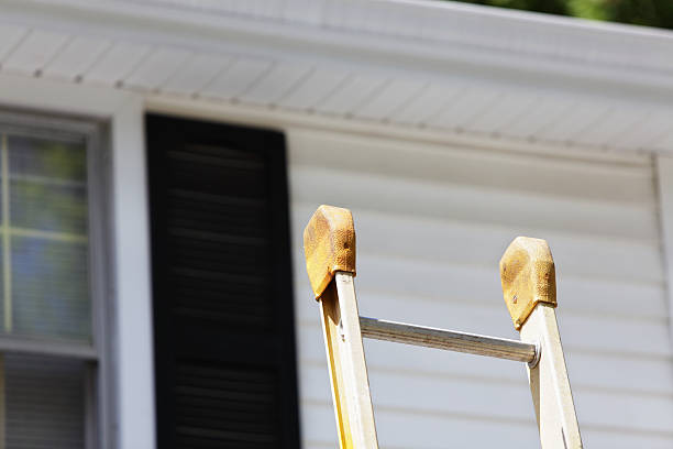 Historical Building Siding Restoration in Geneva, AL